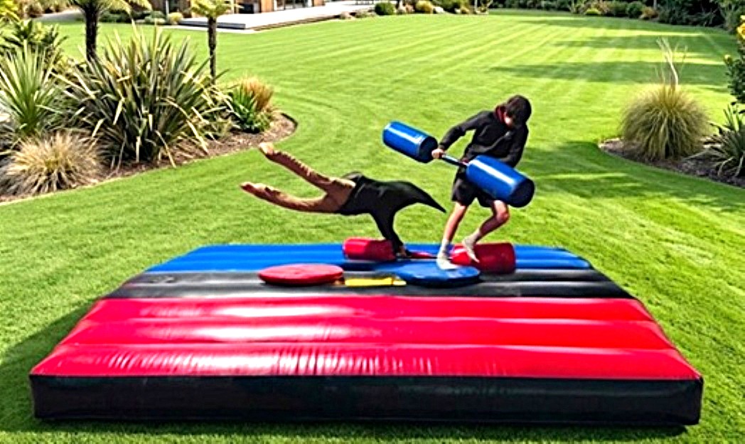 Gladiator Duel Youth Arena